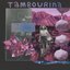tambourine dream