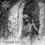 Womb Rot