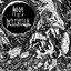 Submerged into the Abyssic Waters of the Ancient Earth