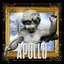 Apollo - Single