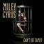 Can't Be Tamed (Single)