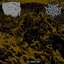 The Erosion Split - Single