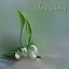 Lily of the Valley - EP