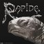 Rapide - Single