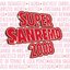 Super Sanremo 2008