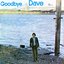 Goodbye Dave