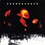 Superunknown (2LP) [A&M Rec., 31454 0198 1]