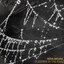 Sleeping in the Rain - Single