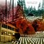 Dead Emblems - Single