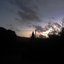 Evening Trees