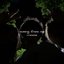 Missing from Me - Single
