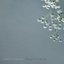 Baby's Breath - Single