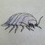bathynomus giganteus