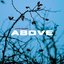 Above - Single