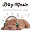 Soothing Music for Dogs