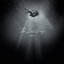 The Last Day - Single