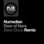 Deer of Nara (Slam Duck Remix)