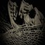 Die Tired - EP