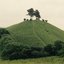 The Side of The Hill