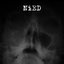 Nied