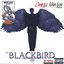 The Blackbird