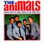 The Animals