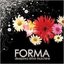 FORMA