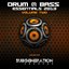 Drum & Bass Essentials 2013, Vol. 2