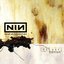 The Downward Spiral (Deluxe)