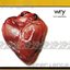 Heart Experience