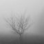 MIST
