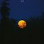 Eternal - Single