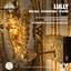 Lully: Dies irae, De profundis & Te Deum (Collection Château de Versailles)