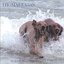 Surviving The Undertow