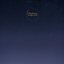 Moonlight Cicadas