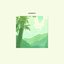 bamboo