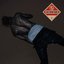 Days Before Rodeo Deluxe