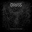Echoes of Collapse