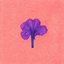Árbol de Neem - Single