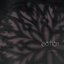 motion