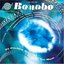 solid steel presents bonobo: it came from the sea