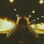 Open - Single