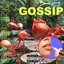 BATHROOM GOSSIP