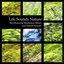 Life Sounds Nature - Best Relaxing Meditation Music and Nature Sounds