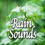 Rain Sounds (Nature Sounds)