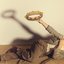 Tambourine