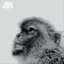 Macaque