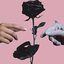 bloom (Deluxe)