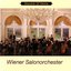 Souvenier of Vienna