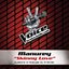 Skinny Love - The Voice 2